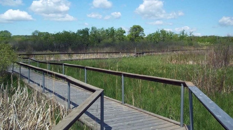Boardwalk trail through Kishwauketoe Nature Conservancy