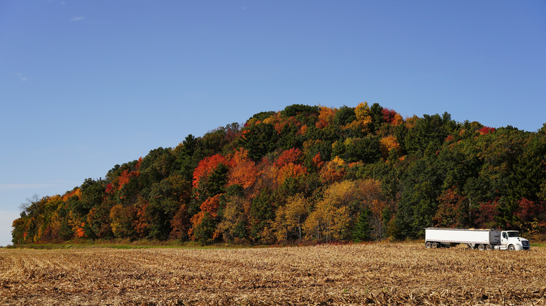 Autumn foliage in New Lisbon
