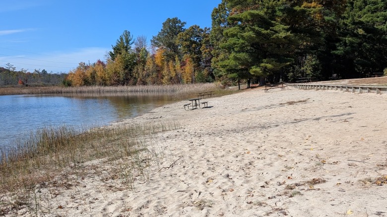 The sandy beach at the swimming pond in Mill Bluff State Park, Wisconsin