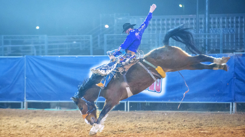 Man riding a bucking horse at rodeo