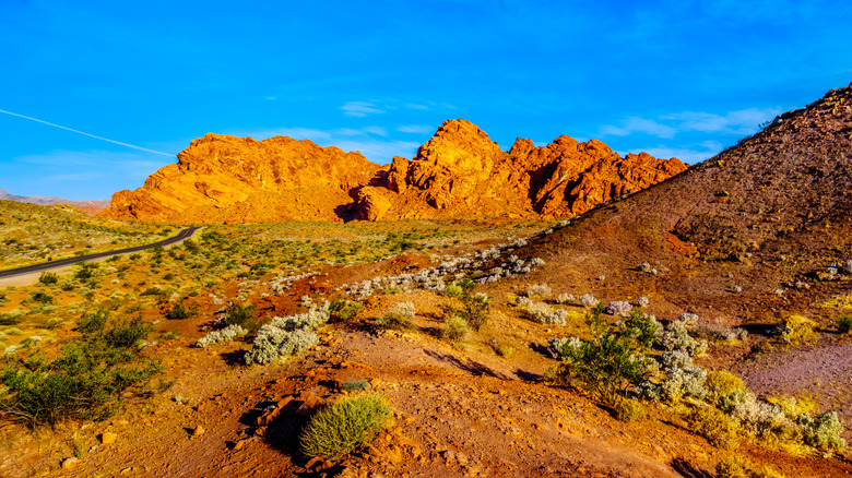 Sandstone formations in Nevada's Valley of Fire