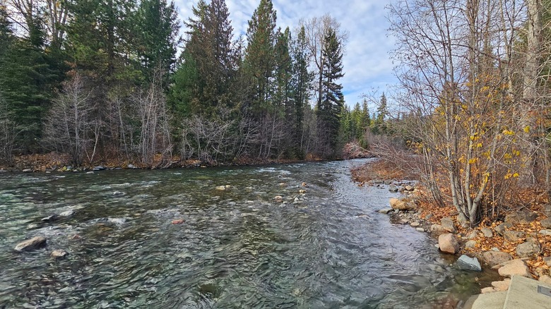 The Teanaway River flowing thought Teanaway Community Forest near Cle Elum, Washington.