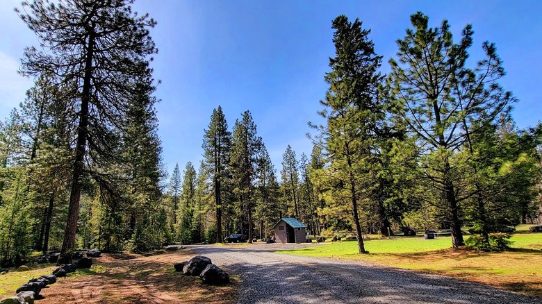 A campground surrounded by trees at Teanaway Community Forest, WA.