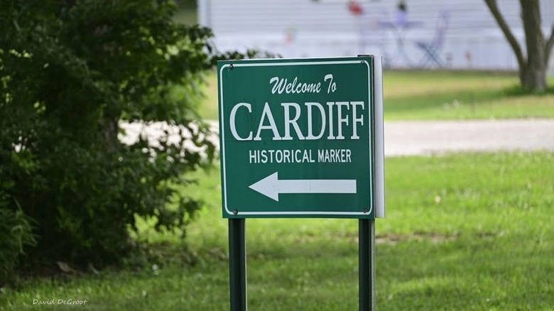 Green sign reading "Welcome to Cardiff Historical Marker" beside a tree, with grass and a blurry white home in the background