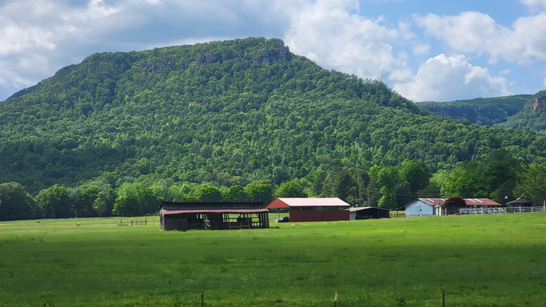 A valley in Dunlap, Tennessee