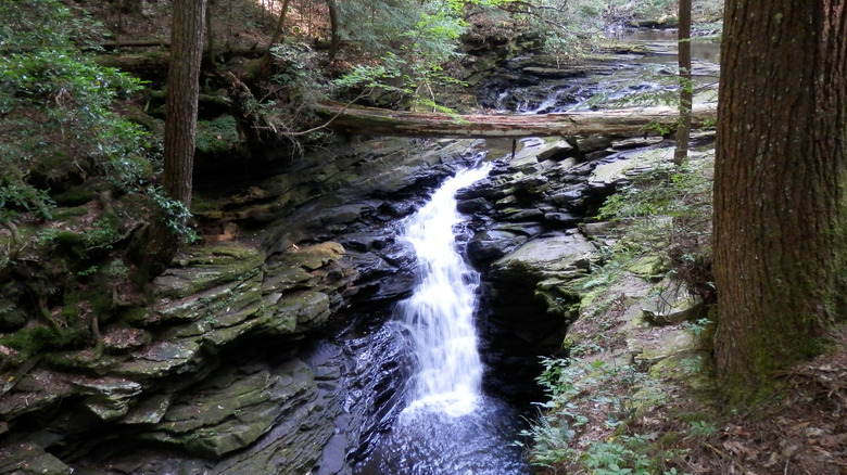A small waterfall in Fiery Gizzard State Park in Tennessee