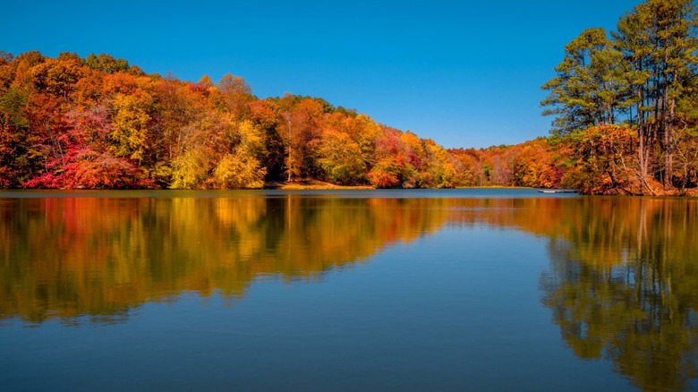 Grundy Lakes area of Fiery Gizzard State Park in autumn