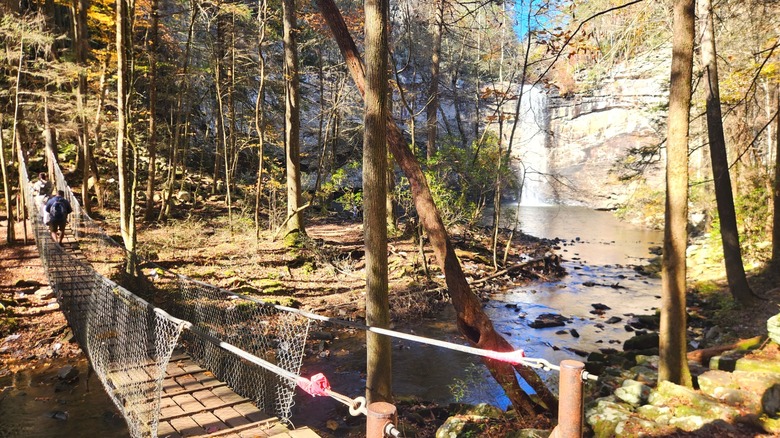 A wooden bridge over a creek near a waterfall on the Fiery Gizzard Trail in Tennessee