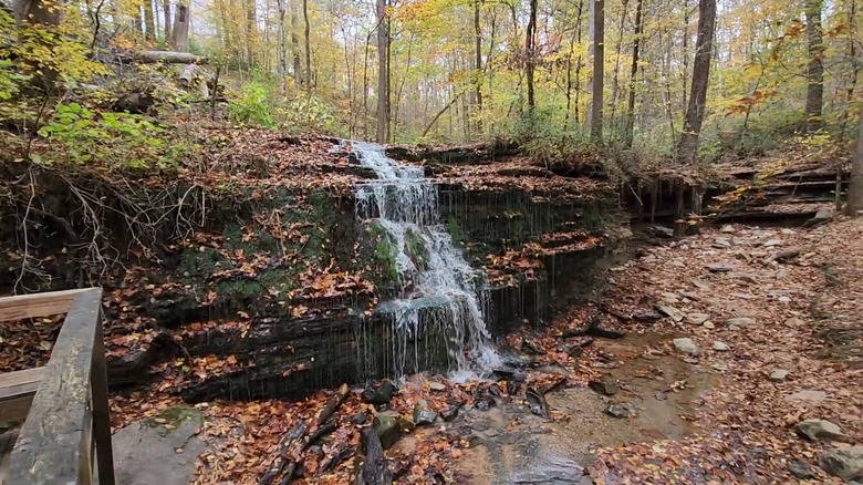 A small waterfall at City Lake Natural Area in Cookeville, Tennessee, with autumn leaves on the ground.
