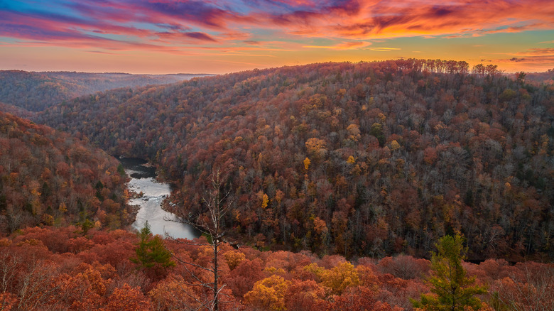 Fall colors surround the river at Big South Fork National River and Recreation Area in Oneida, Tennessee