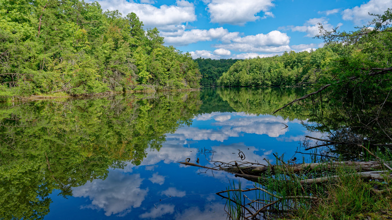 Clouds reflect in lake surrounded by green trees at Meadow Creek Park Tennessee
