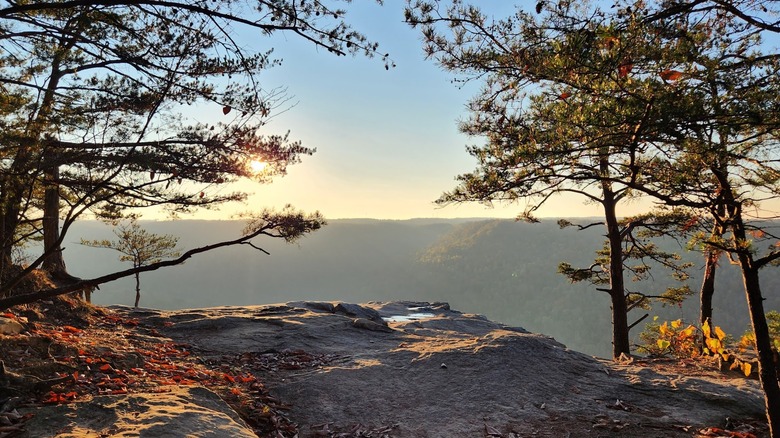 Bee Rock Overlook with fall foliage looking over mountains at sunrise