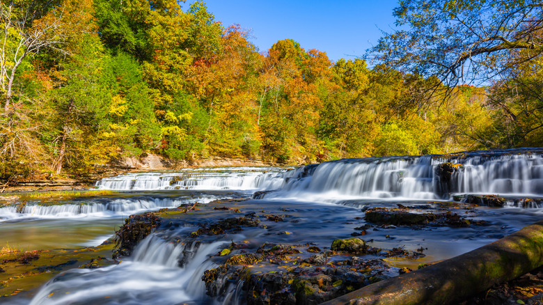 Fall foliage flanking a cascading river in Burgess State Park, Tennessee