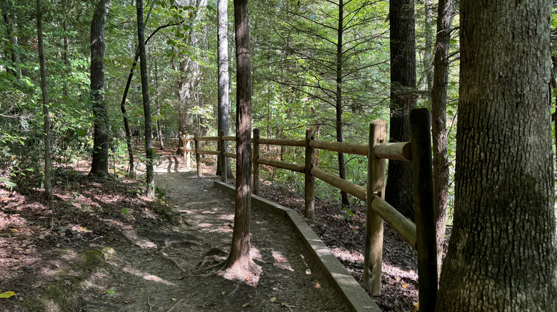 Forest hiking trail with wooden fence at Burgess State Park, Tennessee