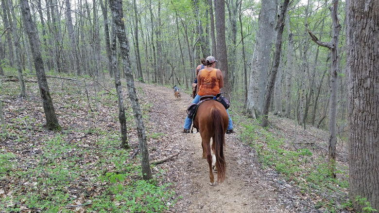 Horses and visitors on a trail at Green River Lake State Park, Kentucky