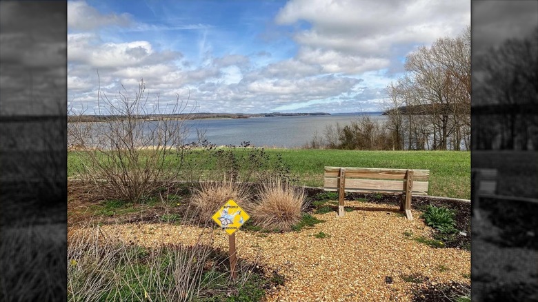 Bench overlooking lake at Tennessee National Wildlife Refuge