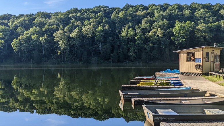 Rental boats on a lake at Montgomery Bell State Park