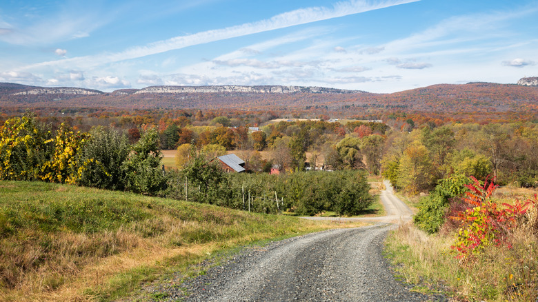 View of road in Ulster County, New York with Shawangunk Mountains in distance