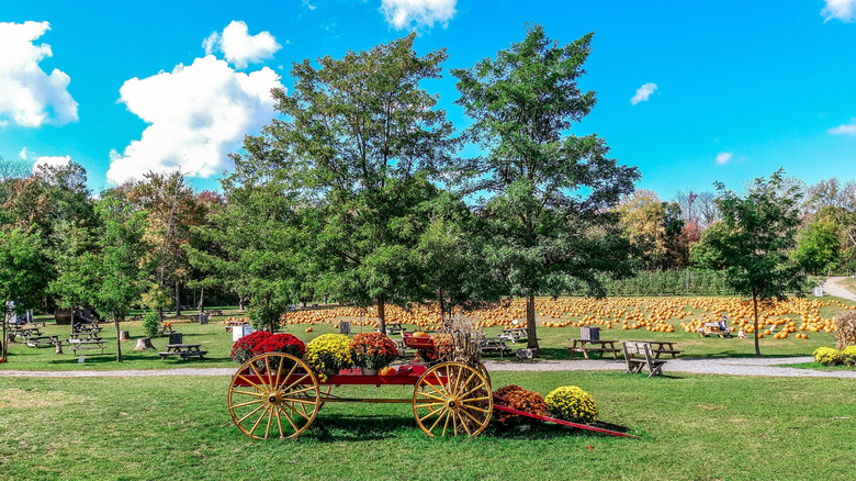 Dubois Farms in the Hudson Valley