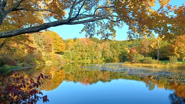 water surrounded by colorful trees, Southford Falls State Park, Southbury, Connecticut