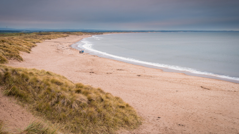 The golden sands of Cresswell Beach