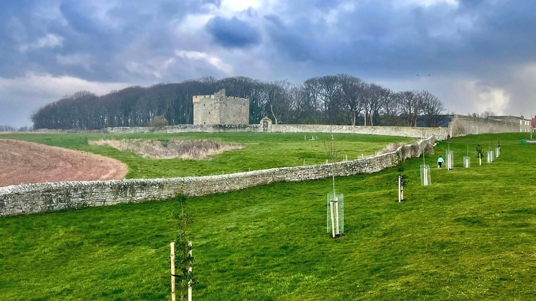 grounds surrounding Cresswell Pele Tower, Northumberland, England