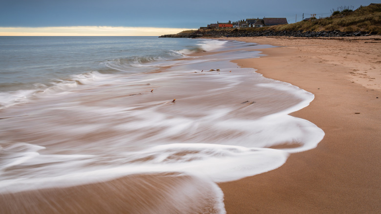 View of sandy Cresswell Beach, Northumberland Coast, England, with Cresswell village in the background