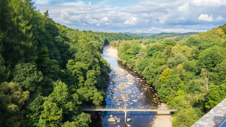 A bridge crossing over the River South Tyne, which is surrounded by lush woodlands on a bright yet cloudy day near Haltwhistle, England