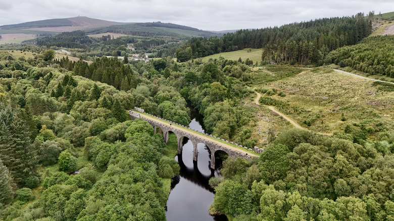 A viaduct in Kielder Forest in Northumberland