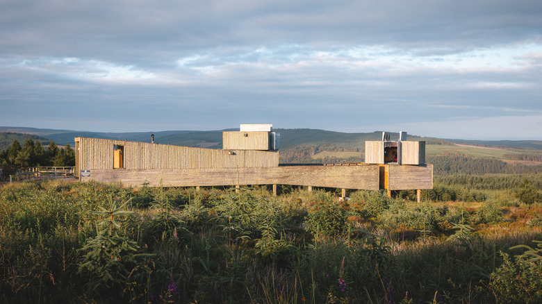 Kielder Observatory, a contemporary wooden structure on stilts, surrounded by trees