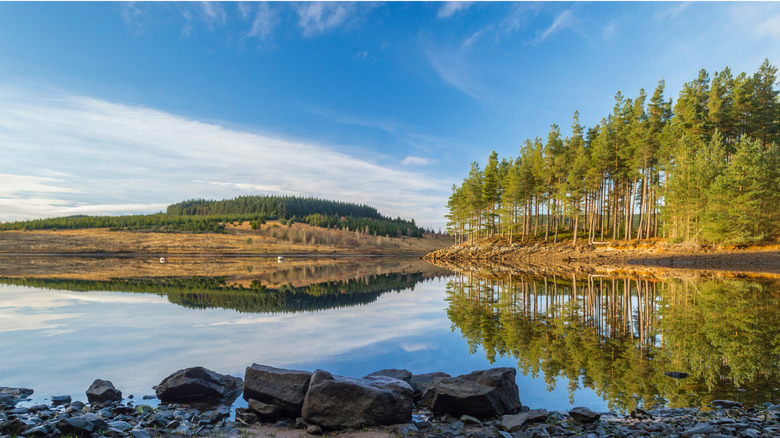 Trees reflected in the mirror-like surface of Kielder Water in Northumberland