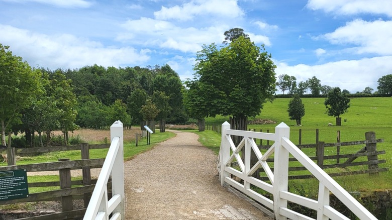 The grounds at Kirkharle in Northumberland, including a walking path through landscaped fields