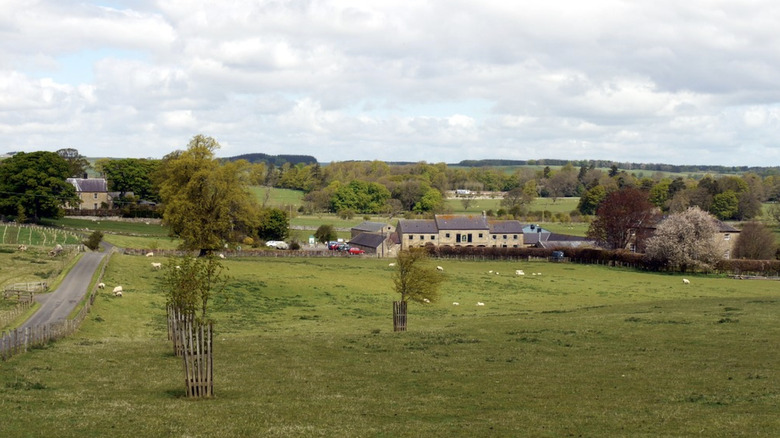 Rolling landscape of trees and Kirkharle Courtyard in Northumberland, England