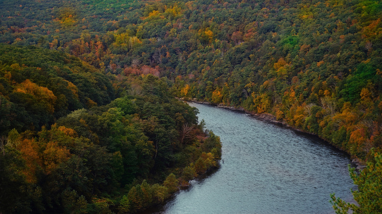 Upper Delaware River in fall