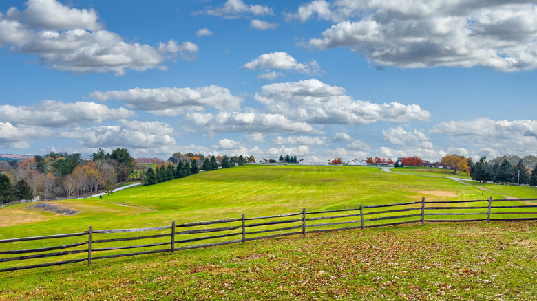 Rolling fields in Bethel, New York, on a cloudy, autumn day