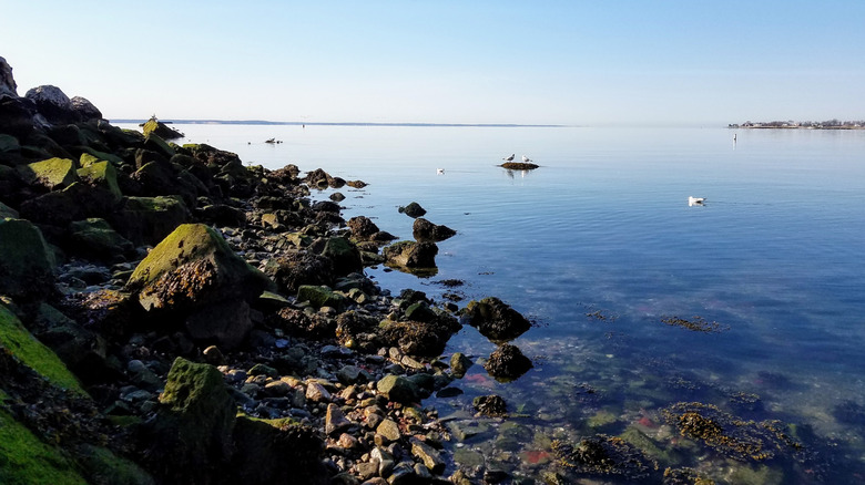 A view of Long Island Sound from the rocks on Bayley Beach