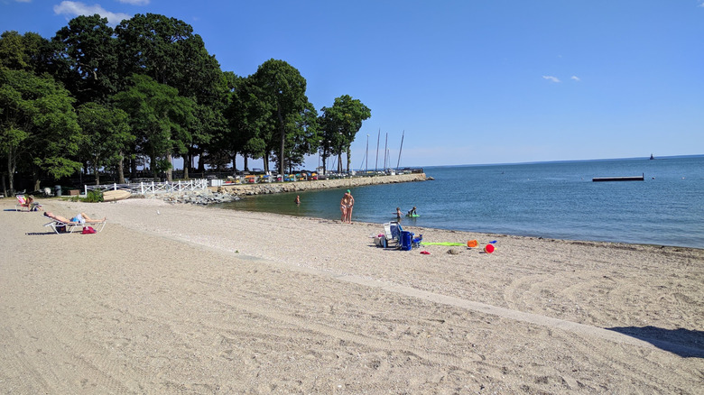Sandy Bayley Beach with trees in the background and a family in the water