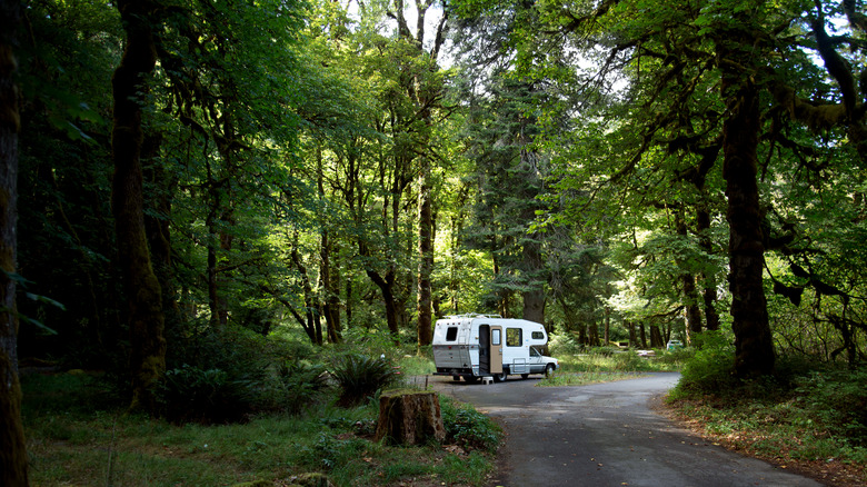 An RV parked in a forest campgroud in Washington State