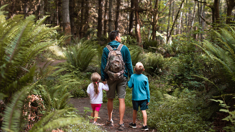 A father hikes with this two children in the woods in Washington State