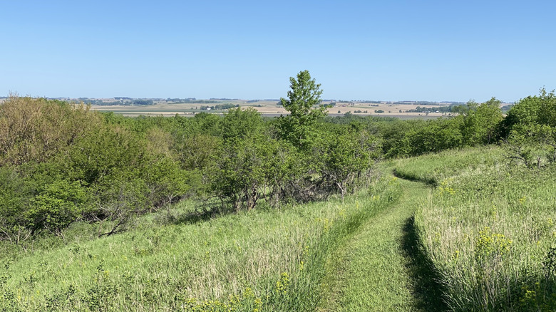 A walking trail with valley views in Oak Grove Park in Hawarden, Iowa