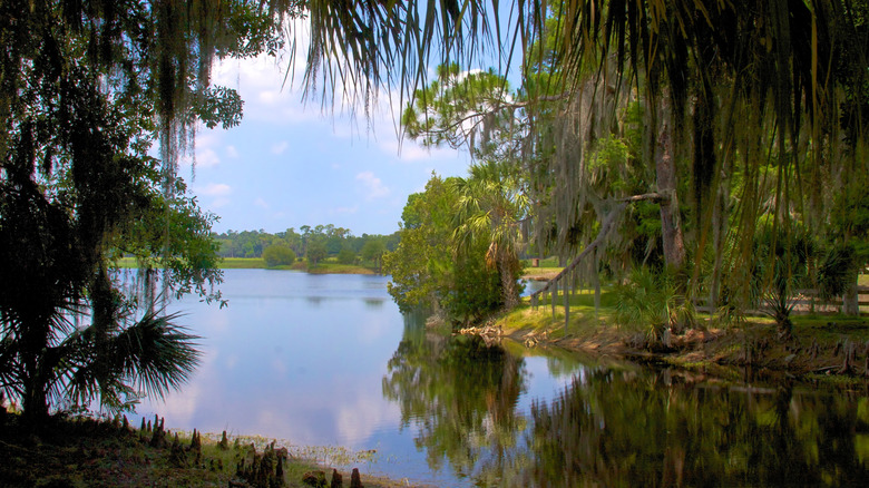 View of Lake Hatchineha from Creek Ranch in Central Florida
