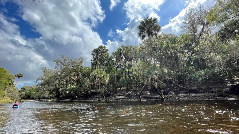 View of Peace River from Pioneer Park