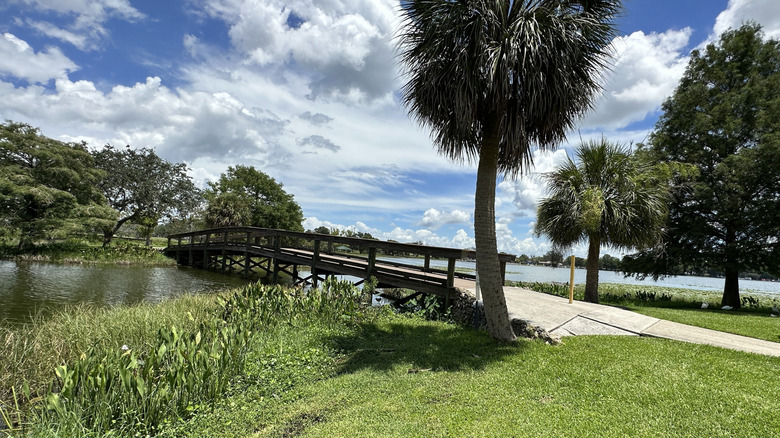 The bridge on footpath in Lake Griffin State Park