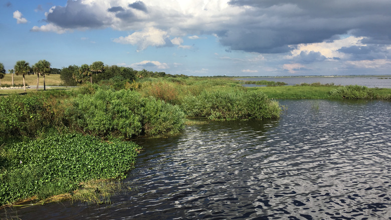 Lake Okeechobee, Florida