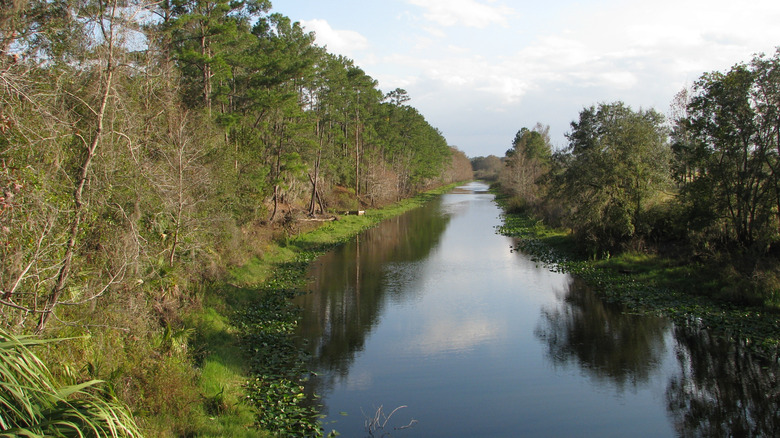 The Ocklawaha River within the Cross Florida Greenway