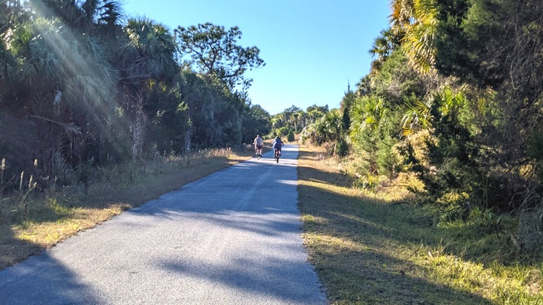 Two cyclists on the Withlacoochee Bay Trail, part of the Cross Florida Greenway