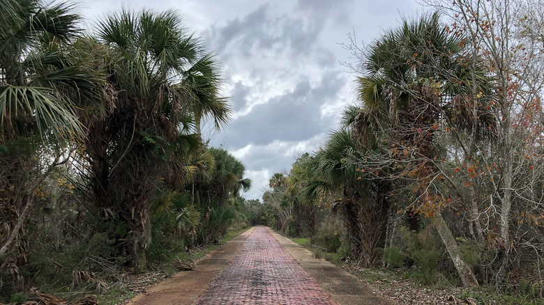 Pershing Highway Trail at Tiger Bay State Forest