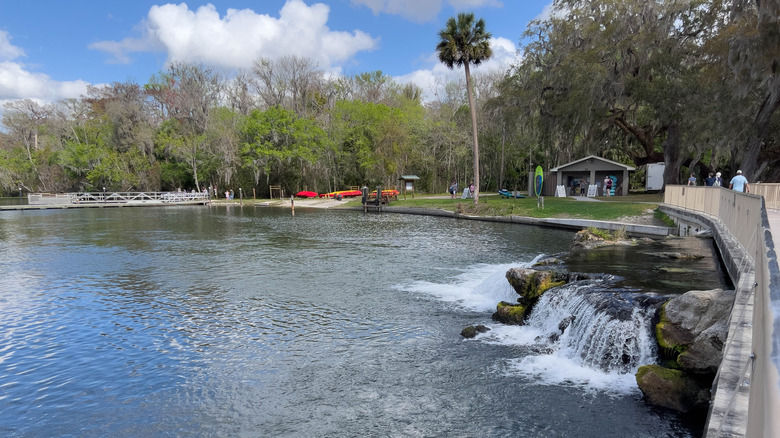 A natural spring swimming area with water cascading over rocks and trees in background.