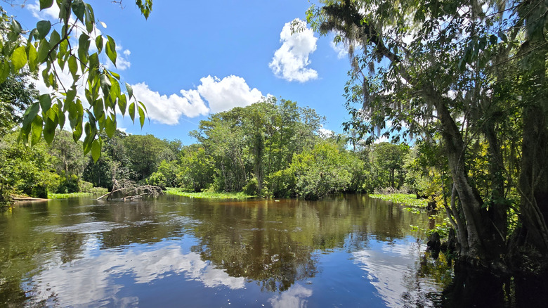 The Wekiva River