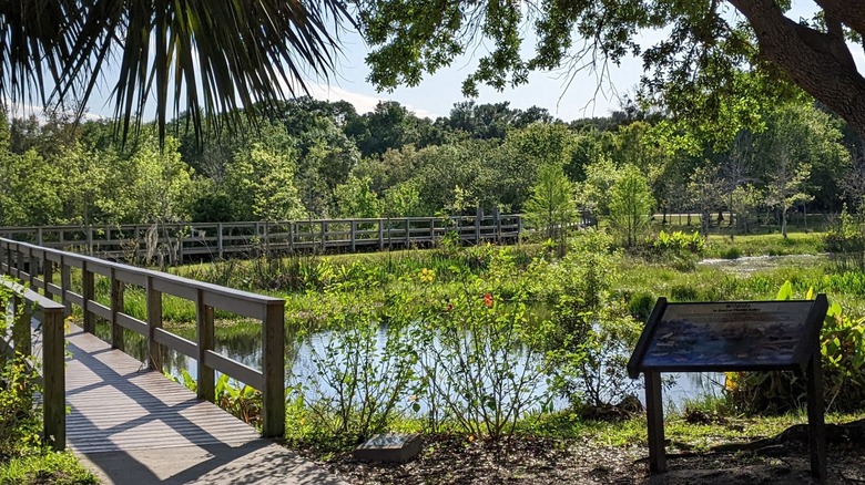 An elevated boardwalk and foliage at South Lake Howard Nature Park in Florida